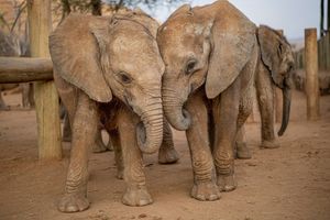 Image post by @natgeo on Instagram