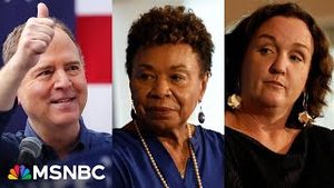 Video post by @msnbc on YouTube