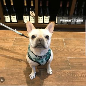 Image post by @wineart.liquor on Instagram
