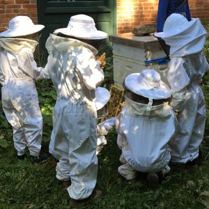 Image post by @kidsgardening on Instagram