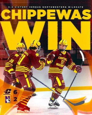 Image post by @cmuhockeyd3 on Instagram