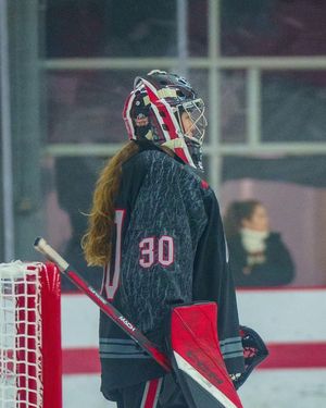 Image post by @ohiostatewhky on Instagram