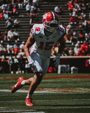 Image post by @cutigervision on Instagram