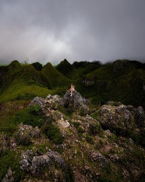 Image post by @gracefkim on Instagram