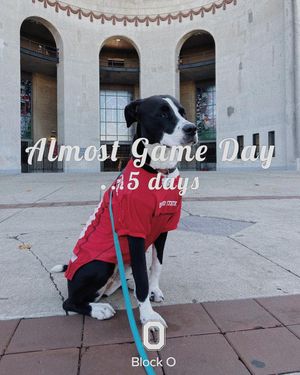 Image post by @osublocko on Instagram