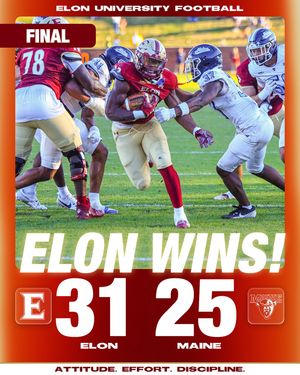 Image post by @elonfb on Instagram