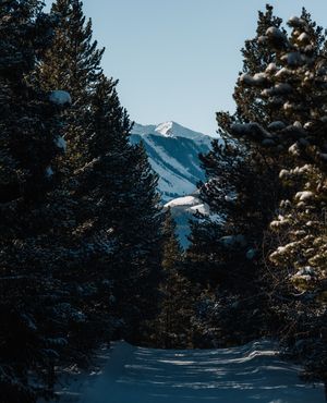 Image post by @drewpeden on Instagram