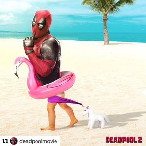 Image post by @vancityreynolds on Instagram