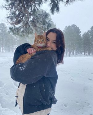 Image post by @nauflagstaff on Instagram