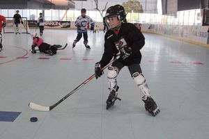 Image post by @the_rinks on Instagram