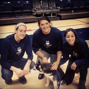 Image post by @bigmamastef on Instagram