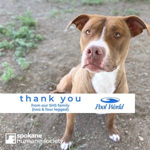 Image post by @spokhumanesoc on Instagram