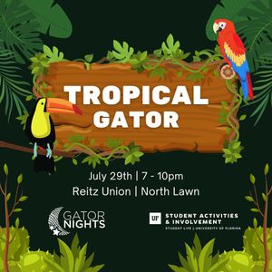 Image post by @ufgatornights on Instagram
