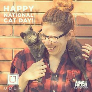 Image post by @animalplanet on Instagram