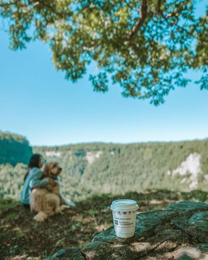 Image post by @bestwestern on Instagram