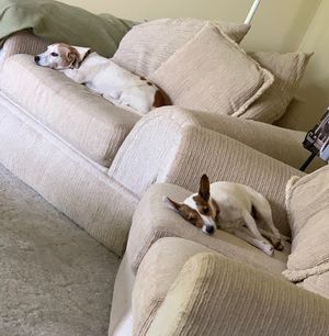 Image post by @snaffle_it on Instagram