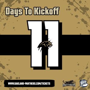 Image post by @panthersifl on Instagram