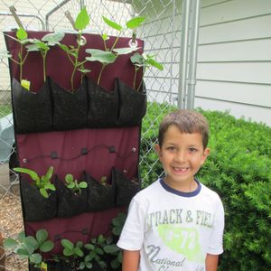 Image post by @kidsgardening on Instagram