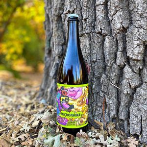 Image post by @sudwerkbrew on Instagram
