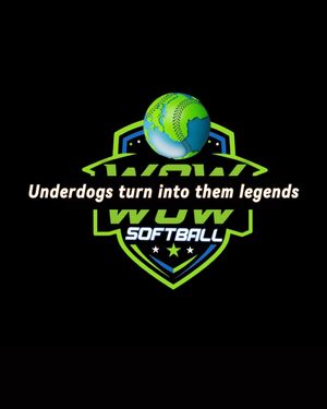 Image post by @worldofwomensoftball on Instagram