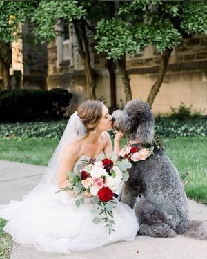 Image post by @theknot on Instagram