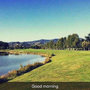Image post by @migliaus on Instagram