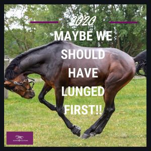Image post by @equineidsolutions on Instagram