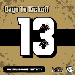 Image post by @panthersifl on Instagram