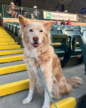 Image post by @sbcubs on Instagram