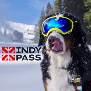 Image post by @officialsnowdog on Instagram