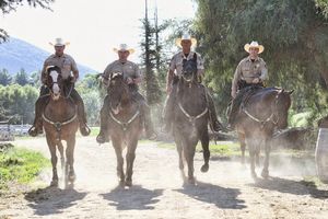 Image post by @vcsheriff on Instagram