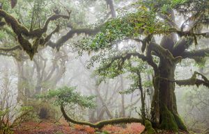 Image post by @natgeo on Instagram