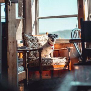 Image post by @nulopetfood on Instagram