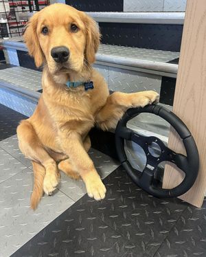 Image post by @mpi.innovations on Instagram