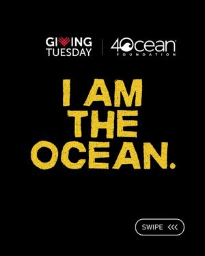 Image post by @4ocean on Instagram