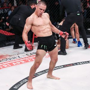 Image post by @bellatormma on Instagram