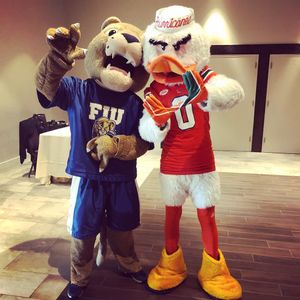 Image post by @um_sebastian on Instagram