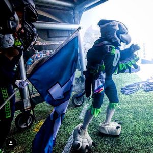 Image post by @blitztheseahawk on Instagram