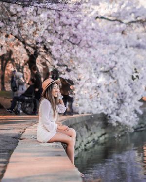 Image post by @gracefkim on Instagram