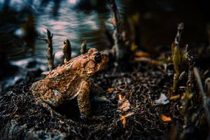 Image post by @jackportunephotography on Instagram