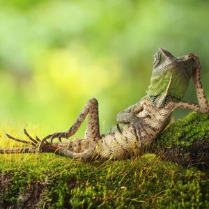 Image post by @discovery on Instagram