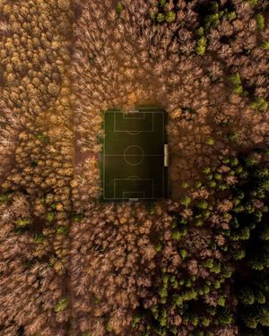 Image post by @fubiz on Instagram