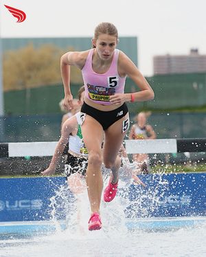 Image post by @dyestat on Instagram