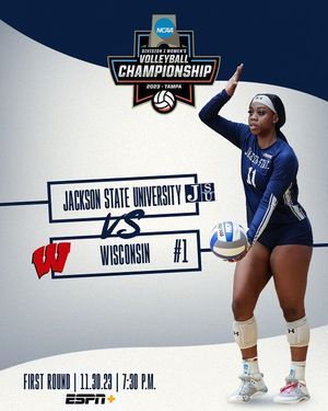 Image post by @gojsutigersvb on Instagram