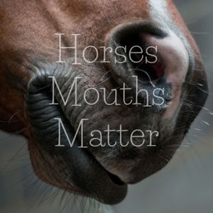 Image post by @first_bit_equine_ on Instagram