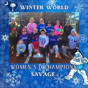 Image post by @usssaslowpitch on Instagram