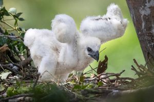 Image post by @natgeo on Instagram