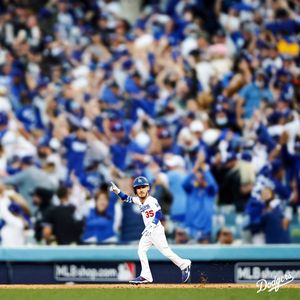 Image post by @mlb.mini on Instagram