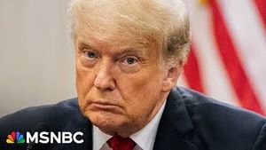 Video post by @msnbc on YouTube