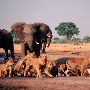 Image post by @discovery on Instagram